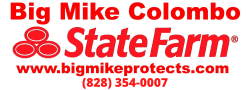 Big Mike State Farm