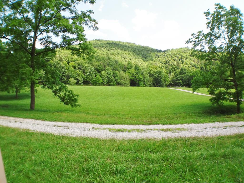 Lot 10 borders wooded area